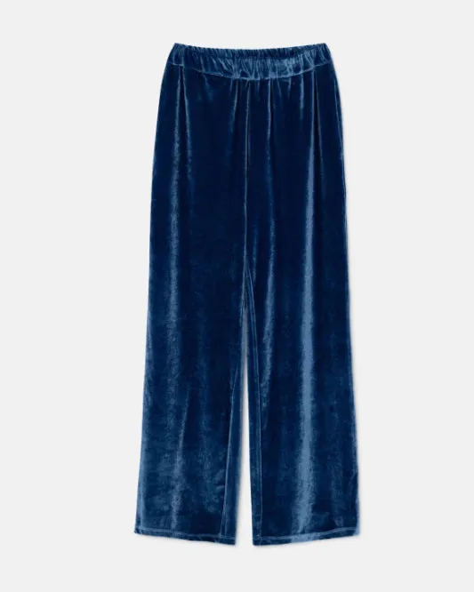 Eva Velvet Pants in Blue