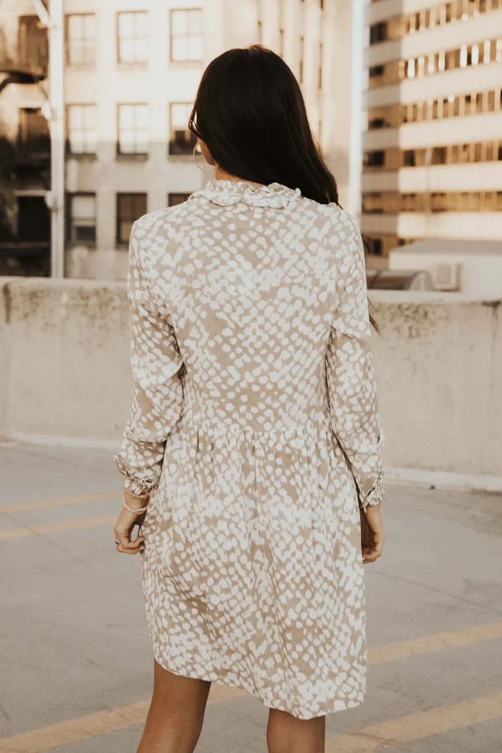 Long Sleeve Printed Babybdoll Dress